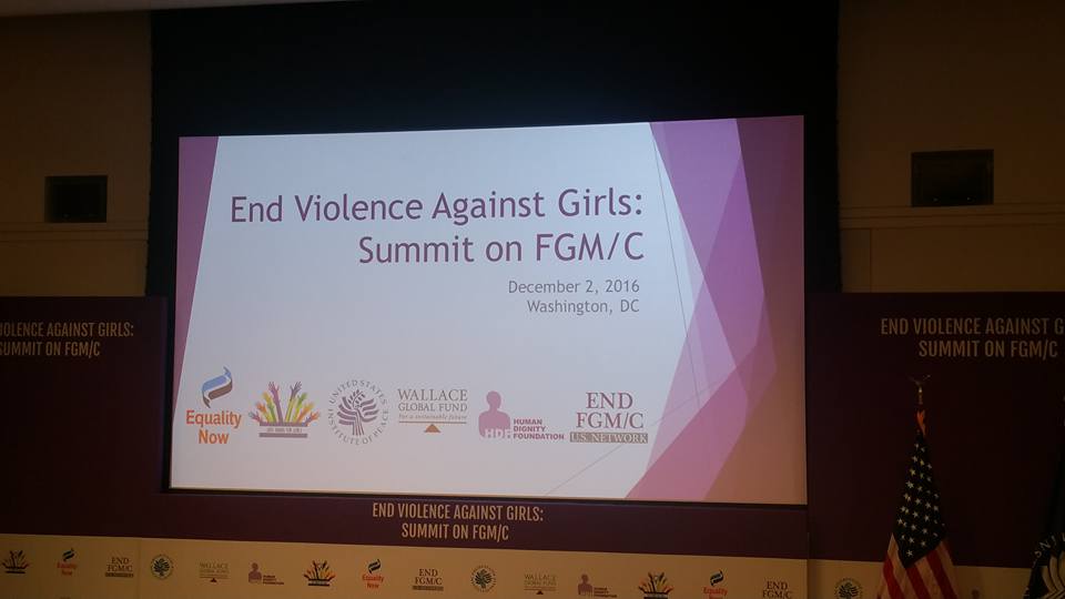Sahiyo participates in the End Violence Against Girls Summit on FGM/C