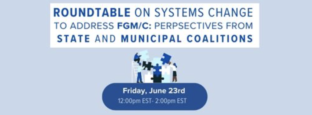 Roundtable on Systems Change to Address FGM/C Perspectives from State and Municipal Coalitions - a virtual event