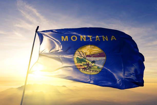 The History of Addressing Female Genital Mutilation/Cutting in Montana