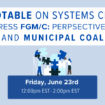 Roundtable on Systems Change to Address FGM/C Perspectives from State and Municipal Coalitions