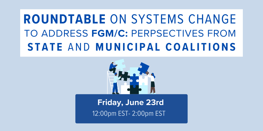 Roundtable on Systems Change to Address FGM/C Perspectives from State and Municipal Coalitions