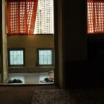 Survivors Speak: Stories of Healing and Action